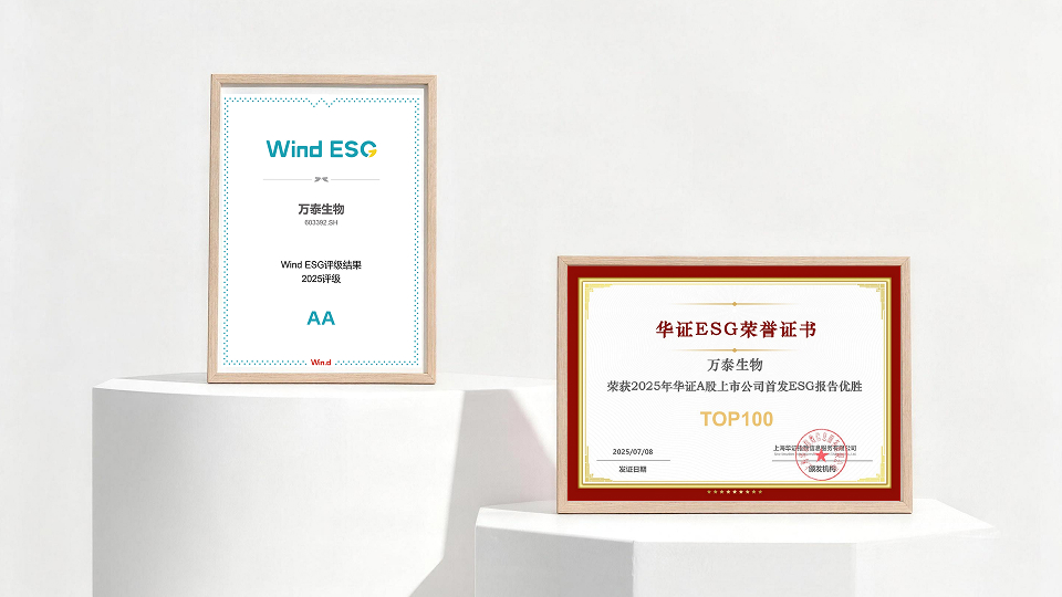 责任治理