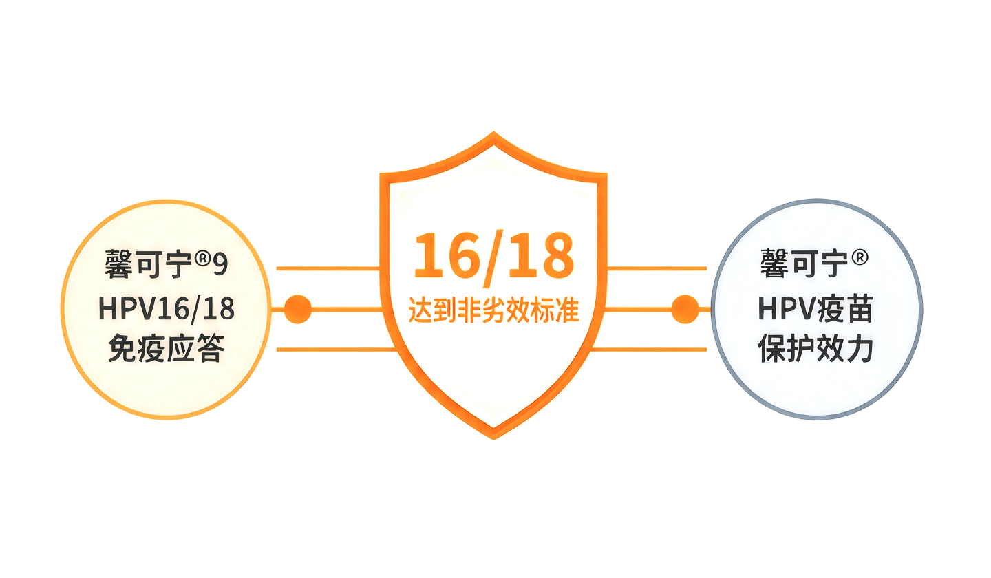 HPV16/18保护效力由免疫桥接至二价HPV疫苗的临床证据支持<sup>3,14</sup>